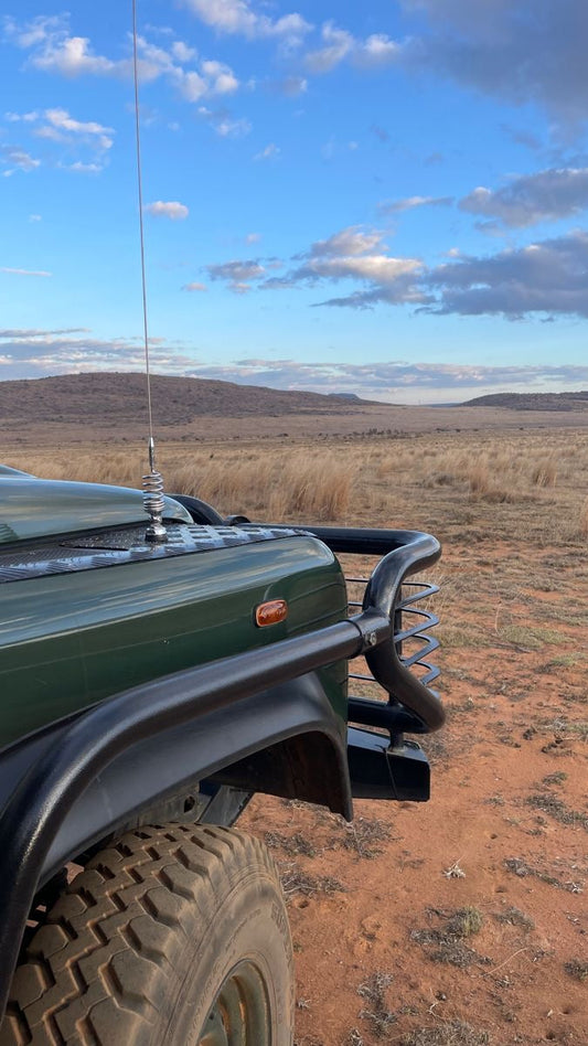 Top 5 Wildlife Safaris to Add to Your Bucket List—Because Life’s Too Short for Basic Vacations